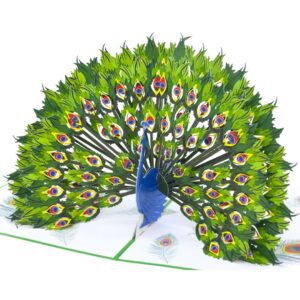 3D voščilnica Kraljevi Zeleni Pav – glavni prikaz